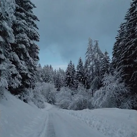 Lillas Ferien * Teufenbach (Murau)